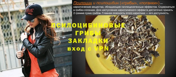 спиды Лиски