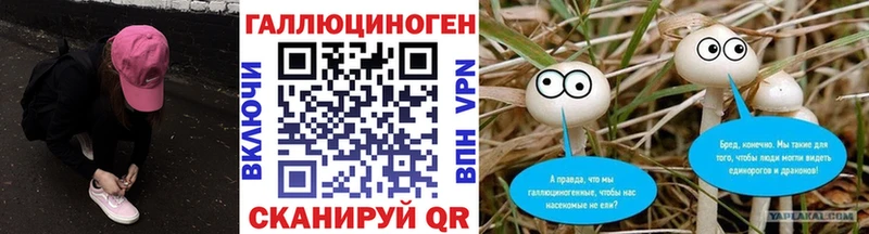 Галлюциногенные грибы Psilocybine cubensis Красный Кут
