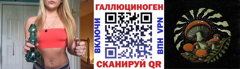 Купить где Красный Кут Галлюциногенные грибы мухоморы